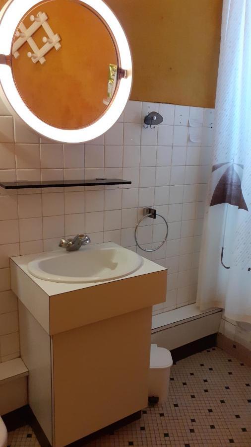 Quartier Arago - Appartement Spacieux Et Lumineux 莱萨布勒-多洛讷 外观 照片